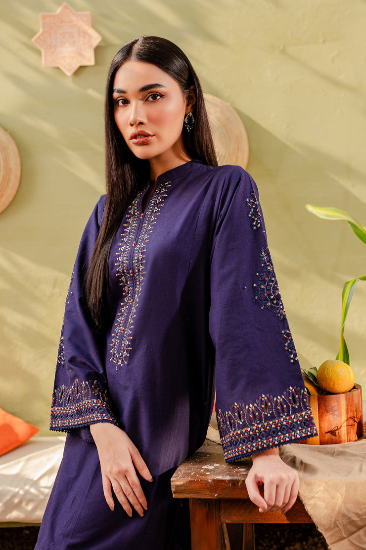 Ash 2Pc - Embroidered Khaddar Dress