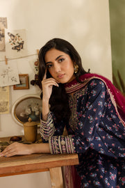 Joy 3Pc - Printed Khaddar Dress