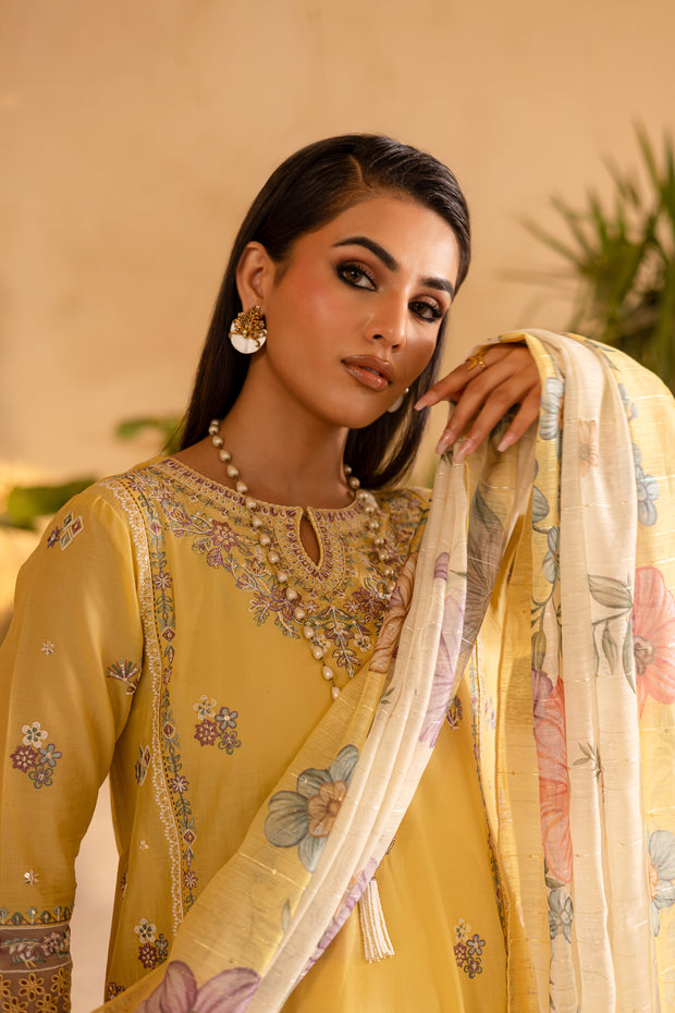 Maize 3Pc - Embroidered Solid Dress