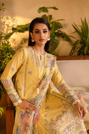 Maize 3Pc - Embroidered Solid Dress