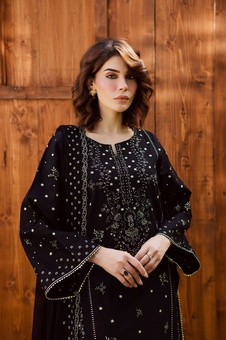 Aasfina 3Pc - Embroidered Khaddar Dress