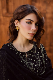 Aasfina 3Pc - Embroidered Khaddar Dress