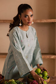 Ice Snow 2Pc - Embroidered Khaddar Dress