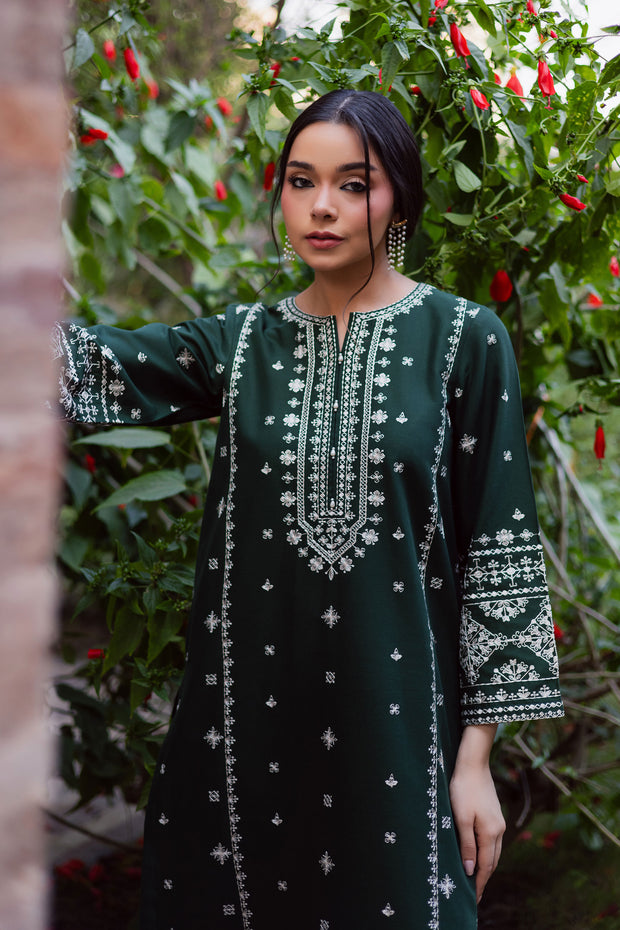 Rusty Green 2Pc - Embroidered Khaddar Dress BATIK WINTER PRET 2025  BATIK   XS / Bottle Green / Khaddar-S / Bottle Green / Khaddar-M / Bottle Green / Khaddar-L / Bottle Green / Khaddar-XL / Bottle Green / Khaddar