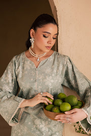 Snow Puff 2Pc - Embroidered Khaddar Dress