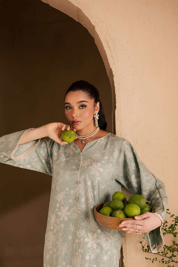 Snow Puff 2Pc - Embroidered Khaddar Dress