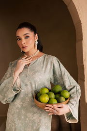 Snow Puff 2Pc - Embroidered Khaddar Dress