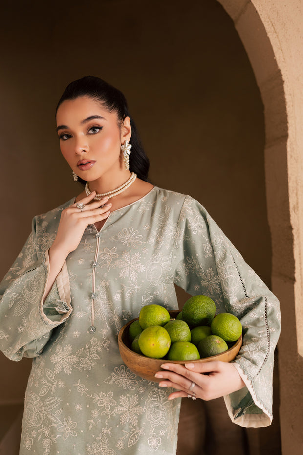 Snow Puff 2Pc - Embroidered Khaddar Dress