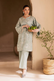 Snow Puff 2Pc - Embroidered Khaddar Dress