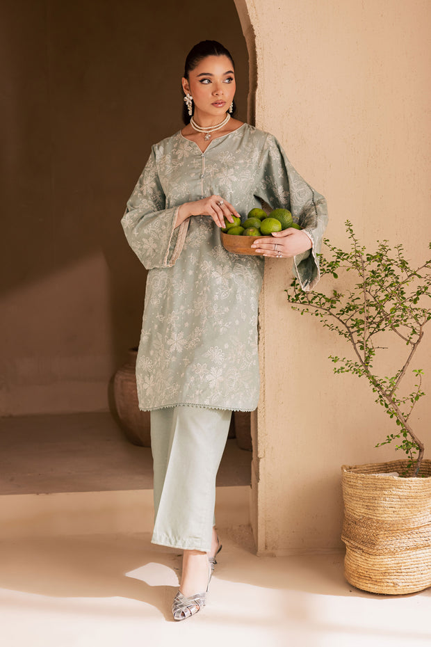 Snow Puff 2Pc - Embroidered Khaddar Dress