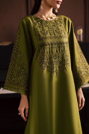 Topaz 2Pc - Embroidered Khaddar Dress
