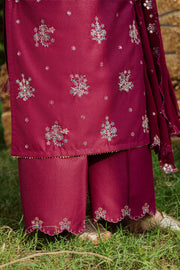 Bells 3Pc - Embroidered Karandi Dress