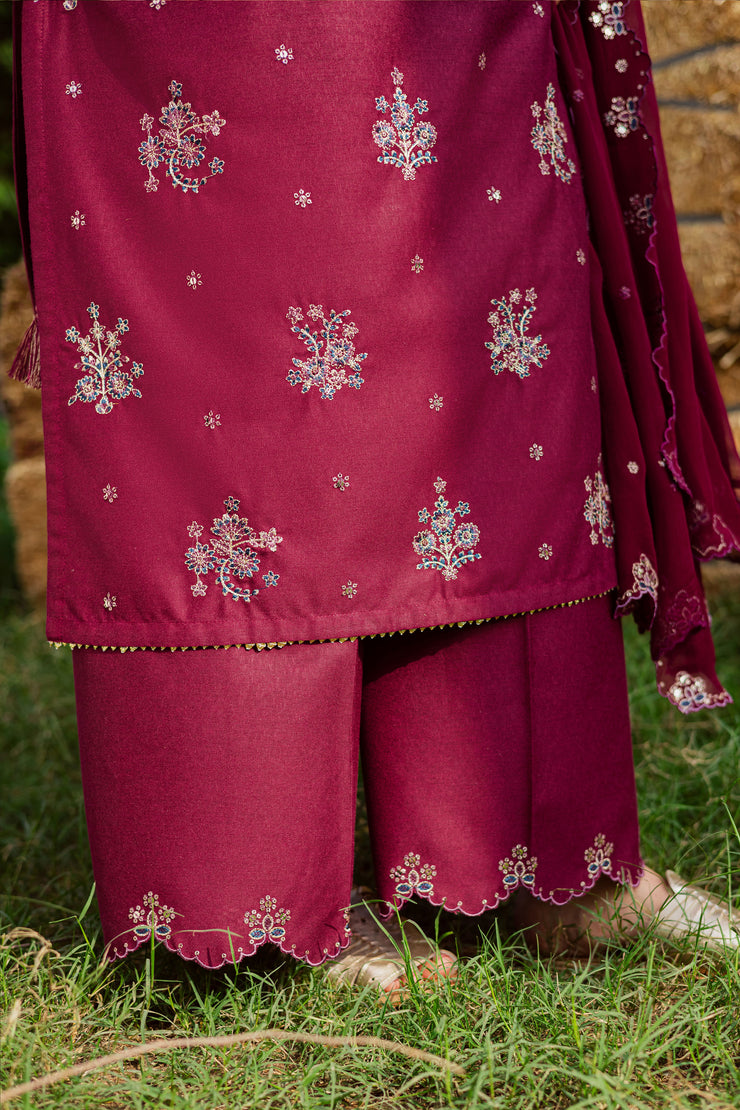 Bells 3Pc - Embroidered Karandi Dress