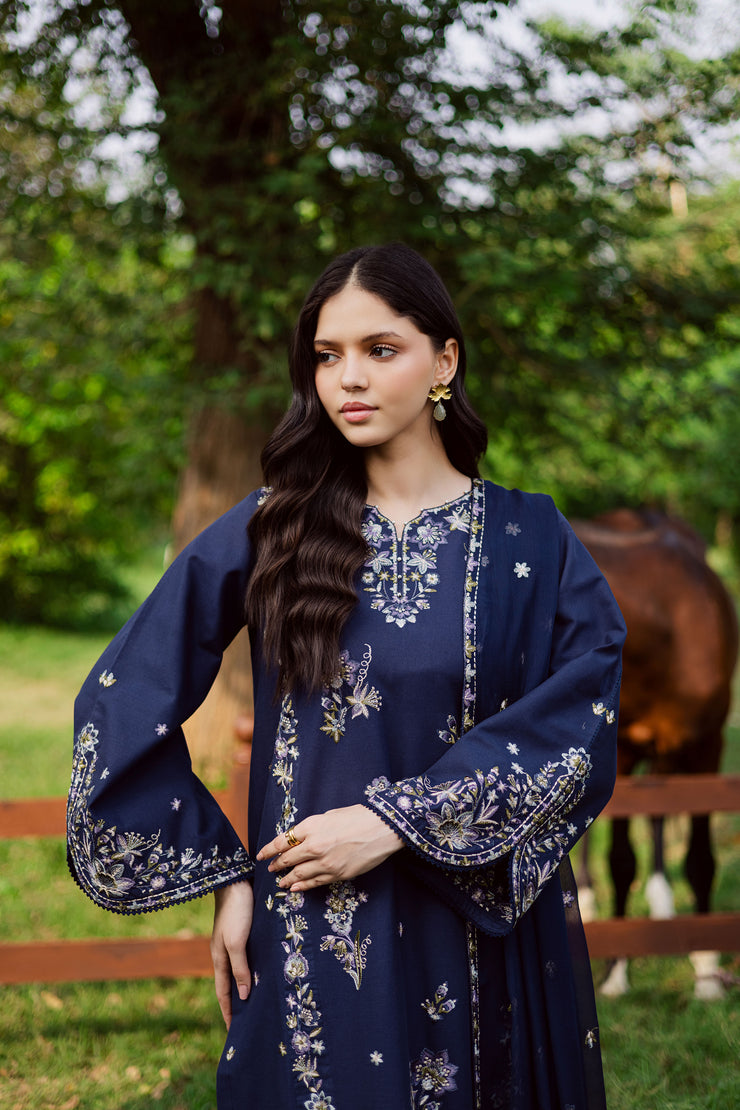 Blue Rush 3Pc - Embroidered Khaddar Dress
