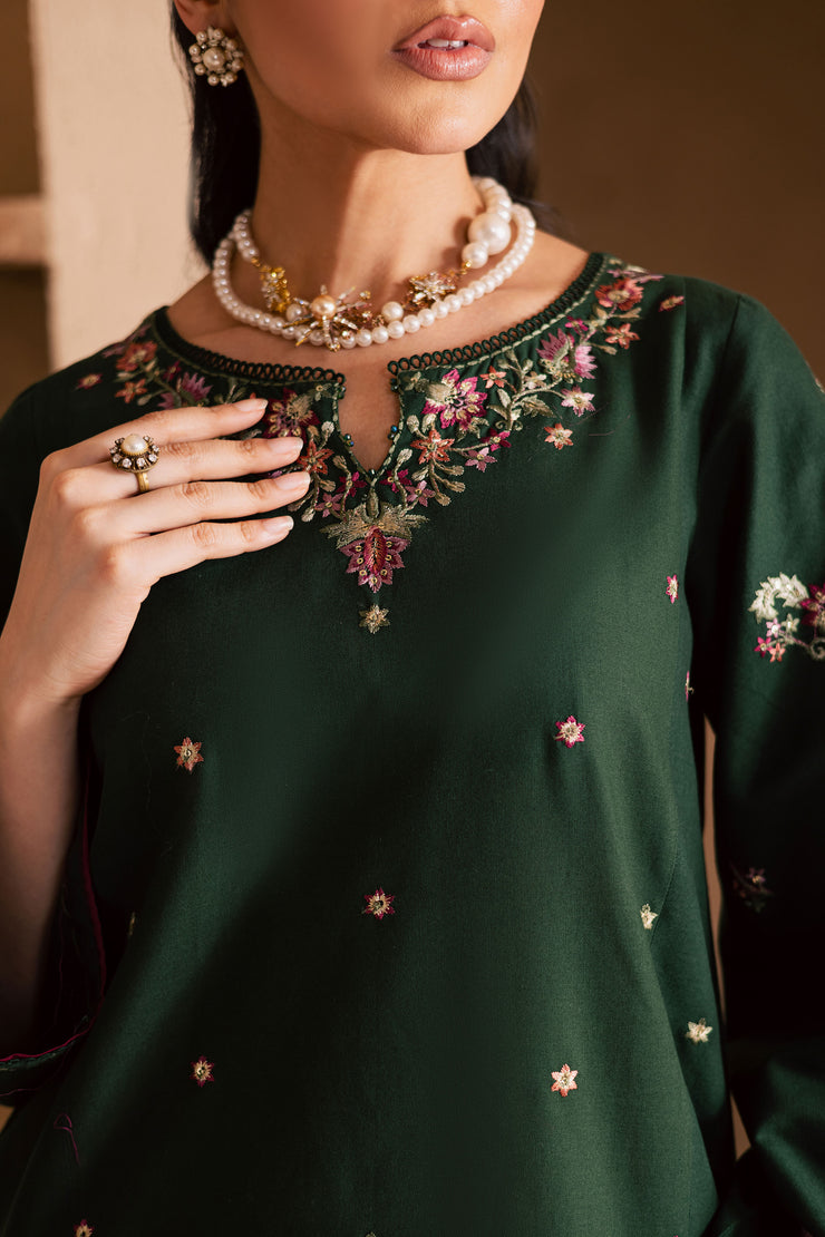 Green Shine 2Pc - Embroidered Khaddar Dress