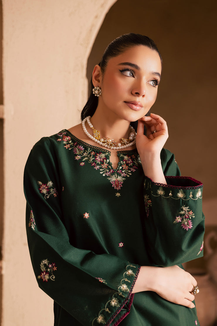 Green Shine 2Pc - Embroidered Khaddar Dress