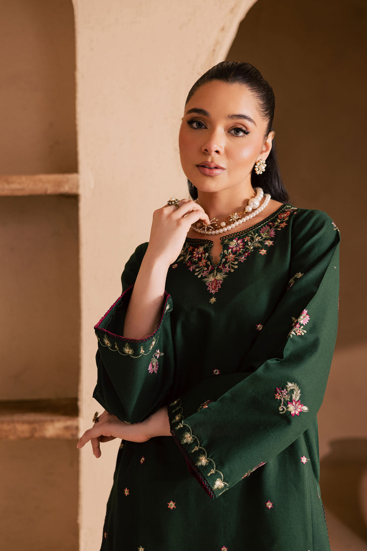 Green Shine 2Pc - Embroidered Khaddar Dress