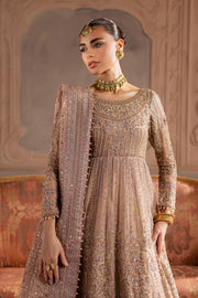 Model elegantly in a powder pink bridal dress with intricate gold work, highlighting regal Pakistani bridal fashion. Bridal luxury Pakistani South Asian Indian