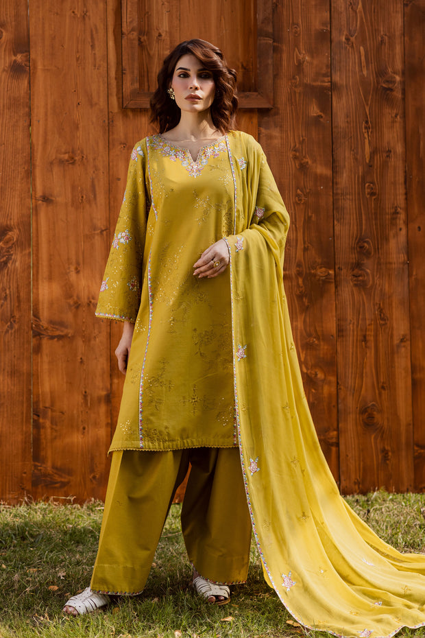 Julie 3Pc - Embroidered Khaddar Dress