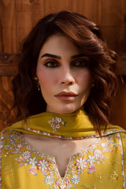 Julie 3Pc - Embroidered Khaddar Dress