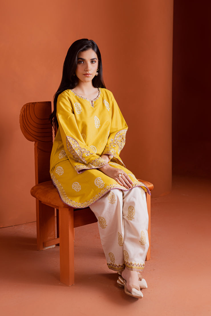 Lime embroidered khaddar shirt paired with beige shalwar creating a graceful daytime look. Ready to wear Pakistani South Asian