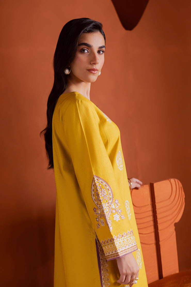Khaddar outfit with refined embroidery and soft lime hue designed for effortless summer elegance. Ready to wear Pakistani South Asian.