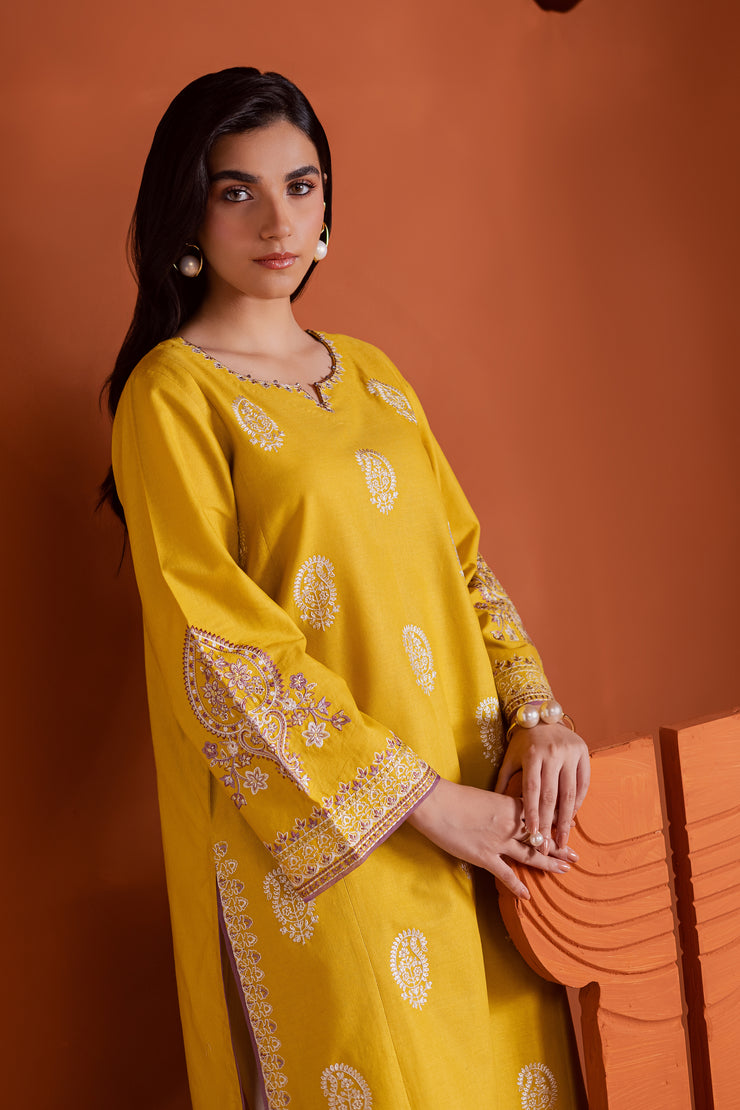 Embroidered lime khaddar outfit blending fresh color tones with elegant craftsmanship. Ready to wear Pakistani South Asian.