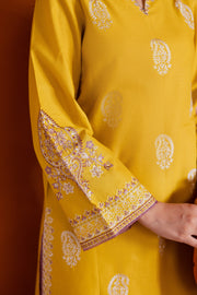 Lime 2Pc - Embroidered Khaddar Dress