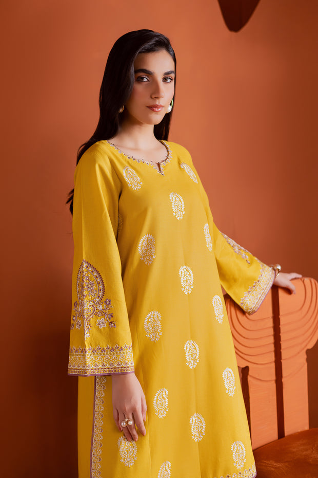 Lime 2Pc - Embroidered Khaddar Dress