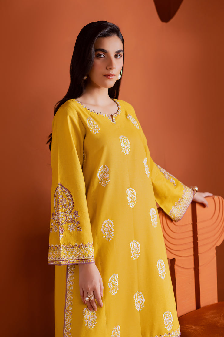 Soft lime khaddar shirt with delicate white embroidery on neckline and sleeves for a refined look. Ready to wear Pakistani South Asian.