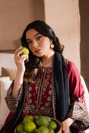Radish 3Pc - Embroidered Khaddar Dress