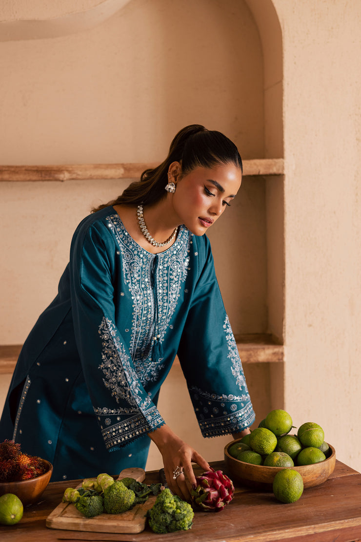 Teal Mahay 2Pc - Embroidered Khaddar Dress