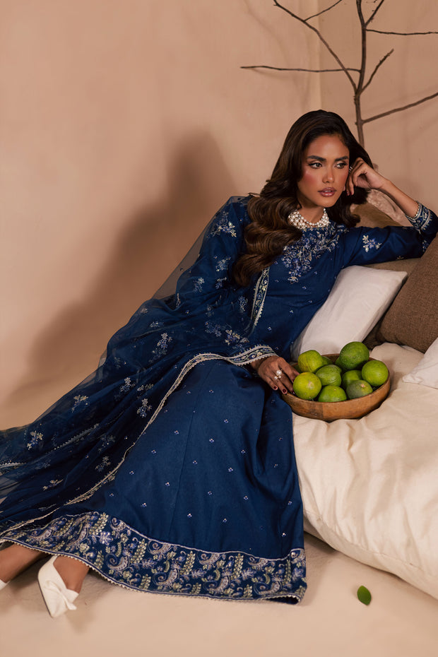 Blue Wester 3Pc - Embroidered Karandi Dress