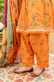 Dig. Orange Salmon 3Pc