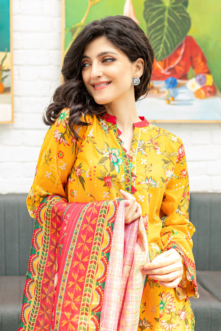 Dig. Nehraj 3Pc