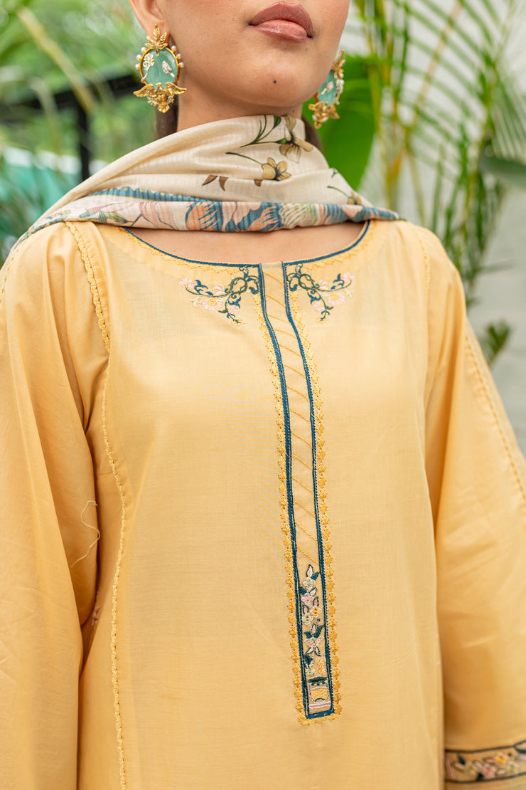 Yellow Iris 3Pc